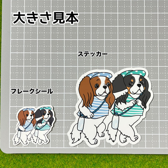 キャバリアちゃんの夏のお散歩。26-15