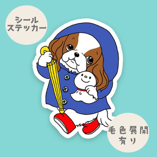 晴れてほしいキャバリアちゃん。26-20