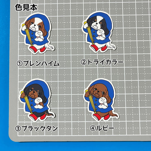 晴れてほしいキャバリアちゃん。26-20
