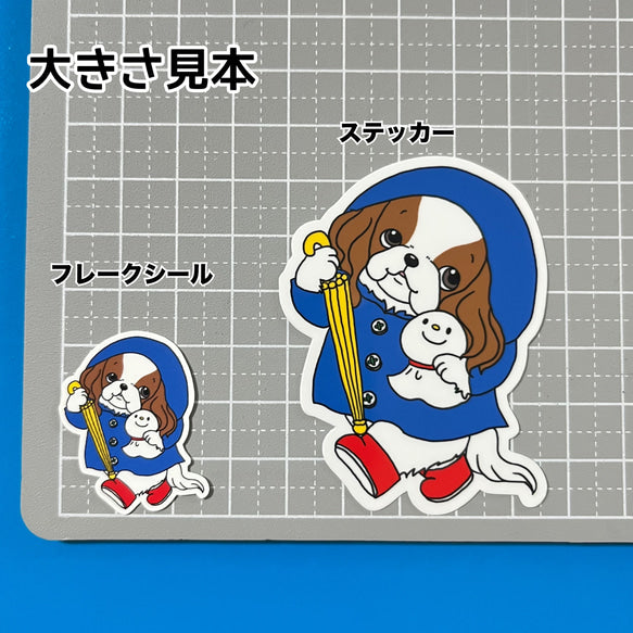 晴れてほしいキャバリアちゃん。26-20