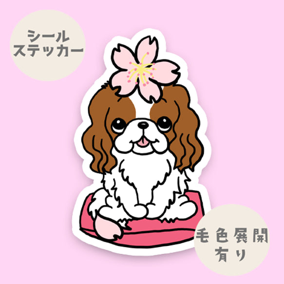 キャバリアちゃんの春のご挨拶。26-21