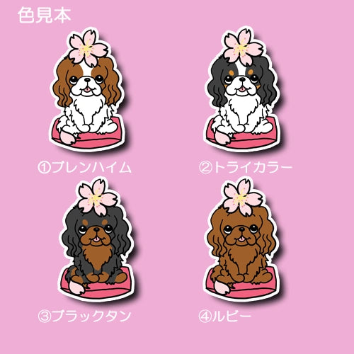 キャバリアちゃんの春のご挨拶。26-21