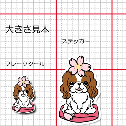 キャバリアちゃんの春のご挨拶。26-21