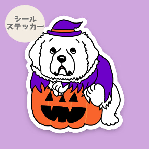 オバケカボチャとピレネーさん。27-11