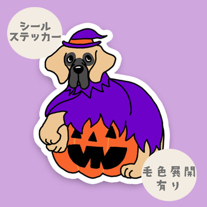 オバケカボチャとグレートデンさん。28-2