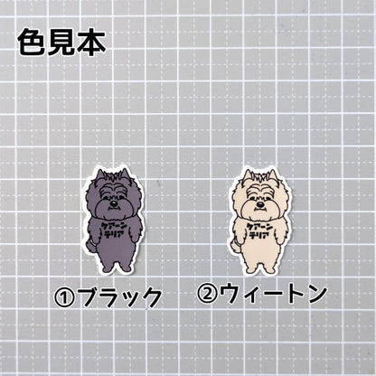 ケアーンテリア。29-1