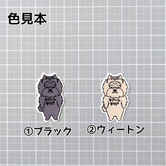 ケアーンテリア。29-1