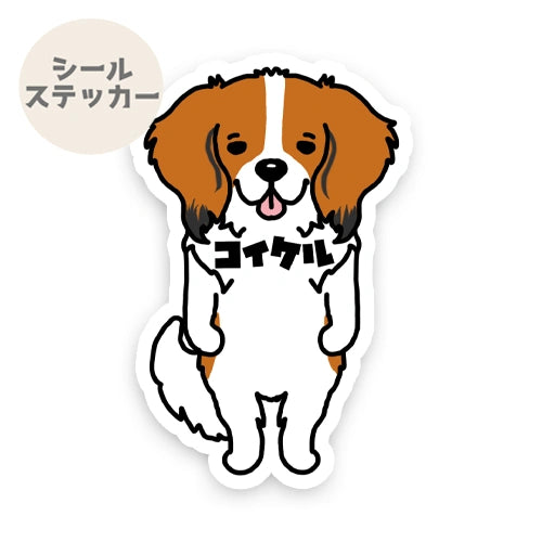 コイケル。31-1