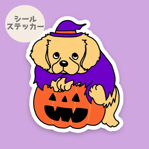 オバケカボチャとゴールデンちゃん。32-7