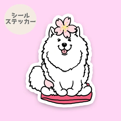 サモエドさんの春のご挨拶。33-5