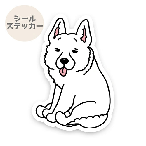 おすわりしてるホワイトシェパードさん。37-2