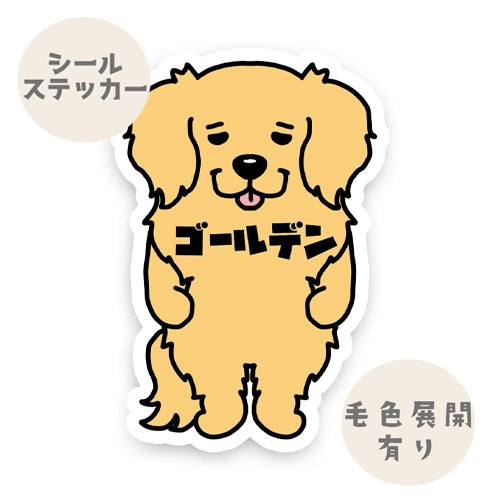 ゴールデン。32-1