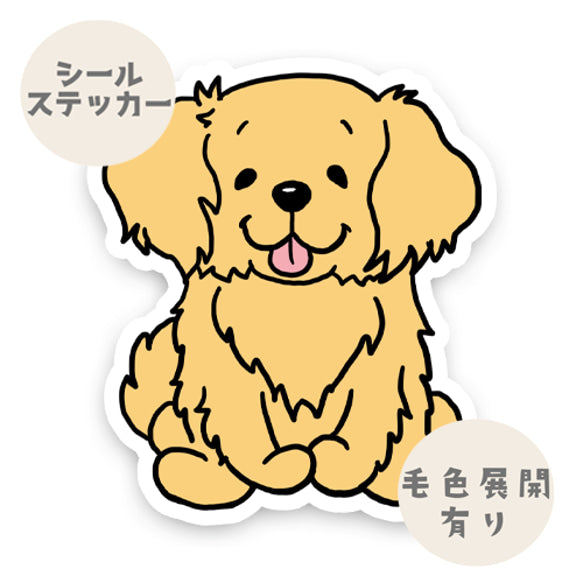 おすわりしてるゴールデンレトリバーさん。32-2