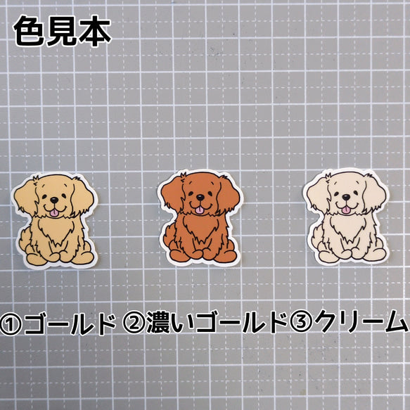 おすわりしてるゴールデンレトリバーさん。32-2