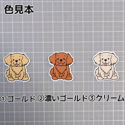 おすわりしてるゴールデンレトリバーさん。32-2