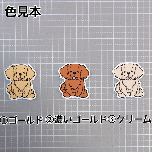 おすわりしてるゴールデンレトリバーさん。32-2