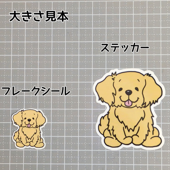 おすわりしてるゴールデンレトリバーさん。32-2