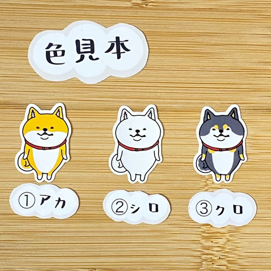 ほほえむシバさん。39-9