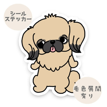 ぽや～ってしてるペキニーズちゃん。97-