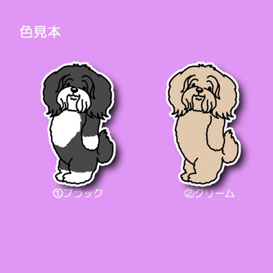 おりこうさんで待ってるチベタンテリアちゃん。56-1