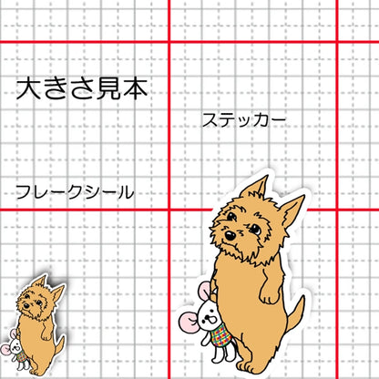 おりこうさんでお留守番してるノーリッチテリアちゃん。74-