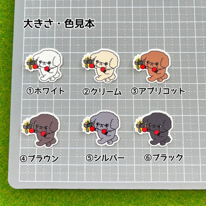 プードルちゃんのフィラリア予防。87-