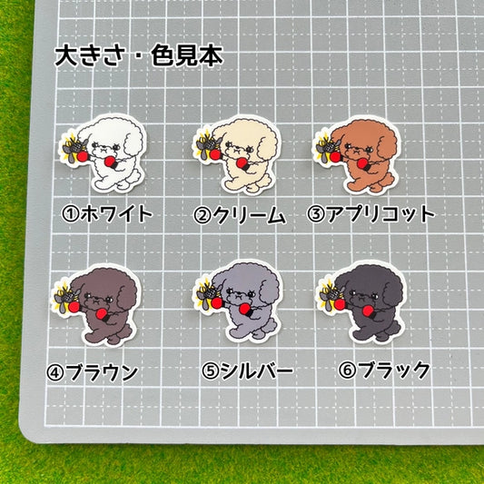 プードルちゃんのフィラリア予防。87-