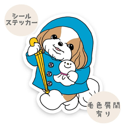 晴れてほしいシーズーちゃん。35-8