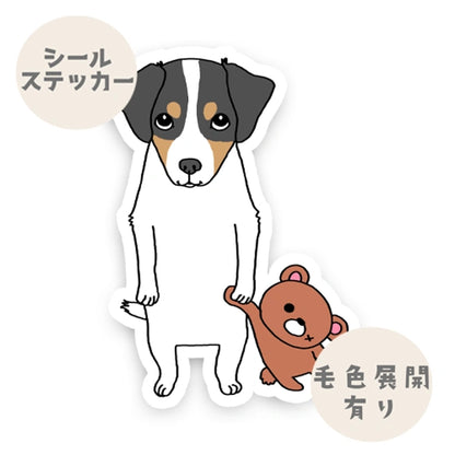 遊んでほしいジャックラッセルちゃん。42-13