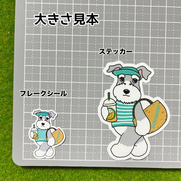 夏のお買い物のシュナウザーちゃん。44-7