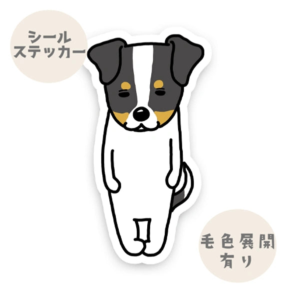 無のジャックラッセルちゃん。42-4