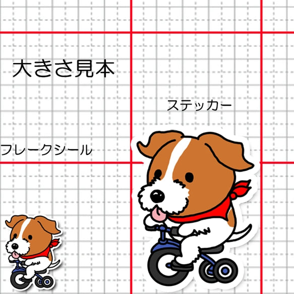 三輪車で走り続けるジャックラッセルちゃん。42-11