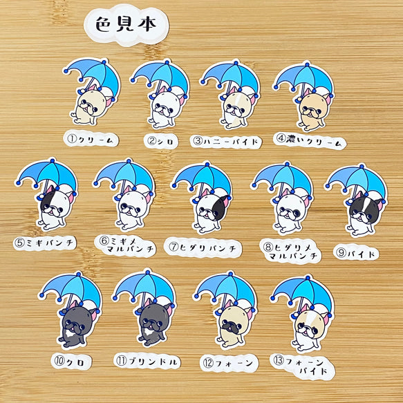 お空から舞い降りたフレブルちゃん。96−20