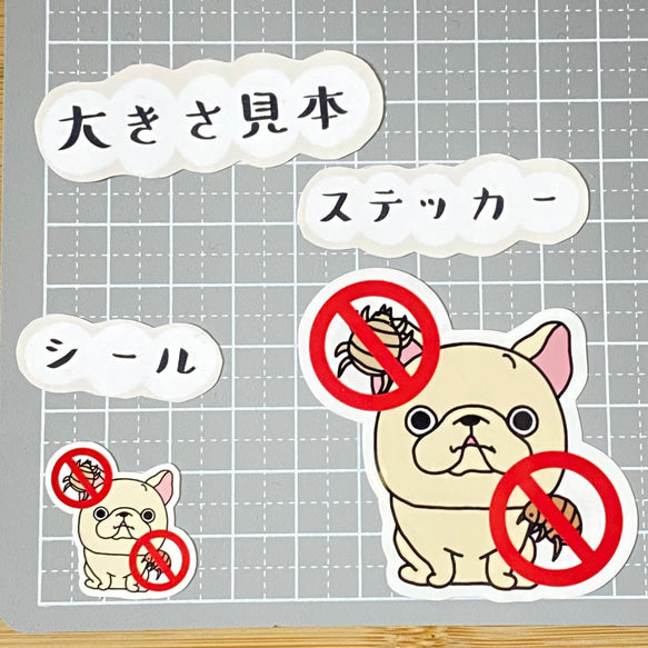 フレブルちゃんのノミダニ予防。96−117