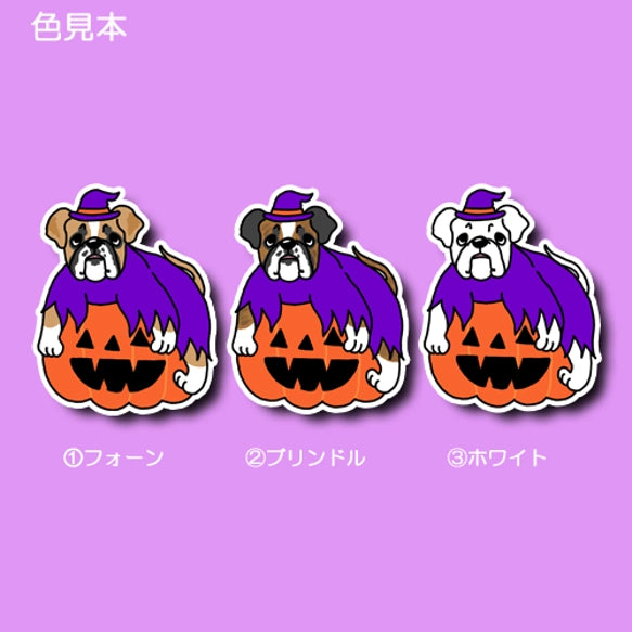 オバケカボチャとボクサーさん。　100-