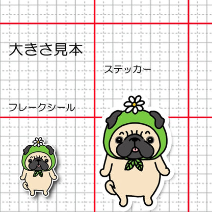 お花帽子のパグちゃん。76-