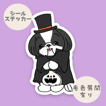 シーズーちゃんのトリックオアトリート。35-22