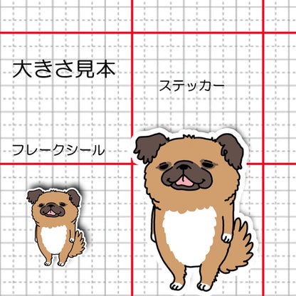 いい子でお留守番してたチワペキちゃん。62-6