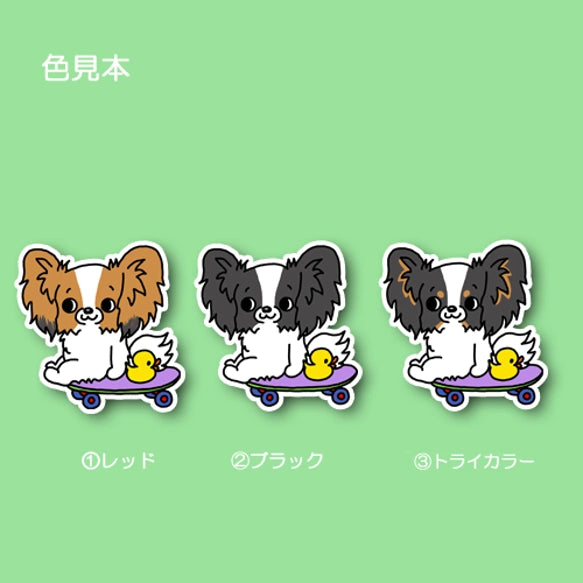 誰か遊んでくれないかなーって待ってるパピヨンちゃん。80-
