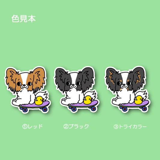誰か遊んでくれないかなーって待ってるパピヨンちゃん。80-