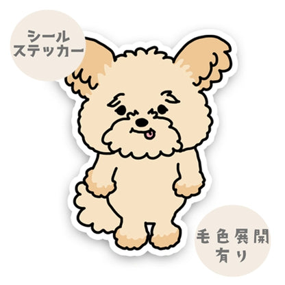 内心ワクワクしてるポメプーちゃん。103-
