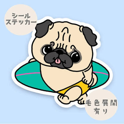 サーファーパグちゃん。76-