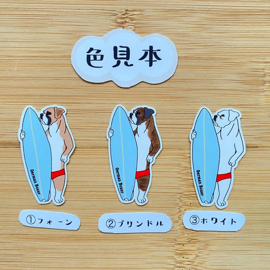サーファーボクサー。100-