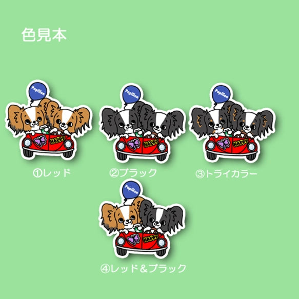 パピヨンちゃんの楽しいドライブ。80-