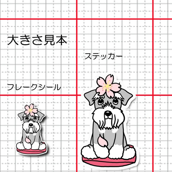 シュナウザーちゃんの春のご挨拶。44-9