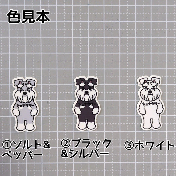 シュナウザー。44-1