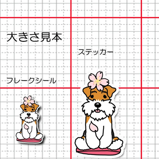 ワイアーフォックステリアちゃんの春のご挨拶。124-3