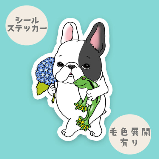 梅雨のお散歩フレブルちゃん。96−100