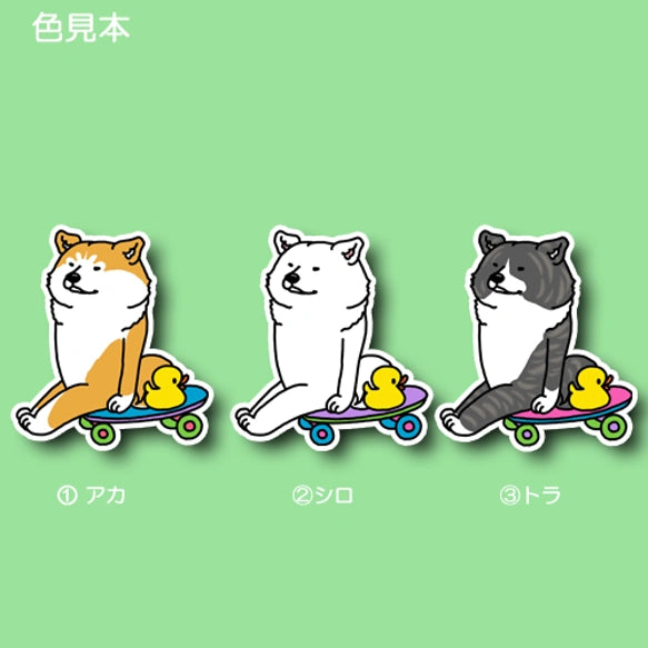誰か来ないかなーって待ってるアキタイヌさん。3-5
