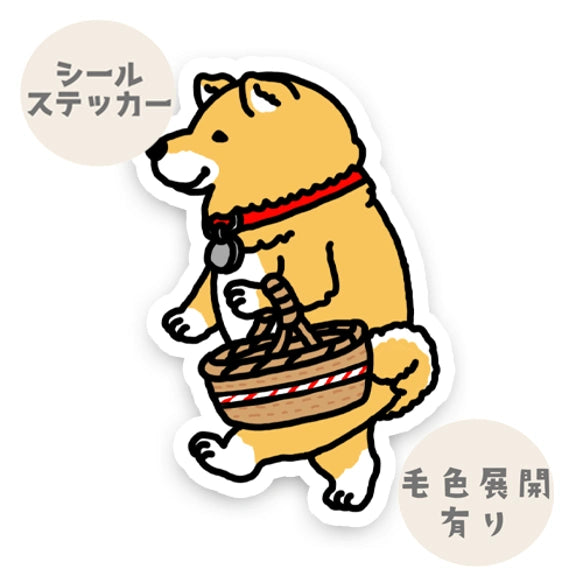 シバの奥さん。39-10